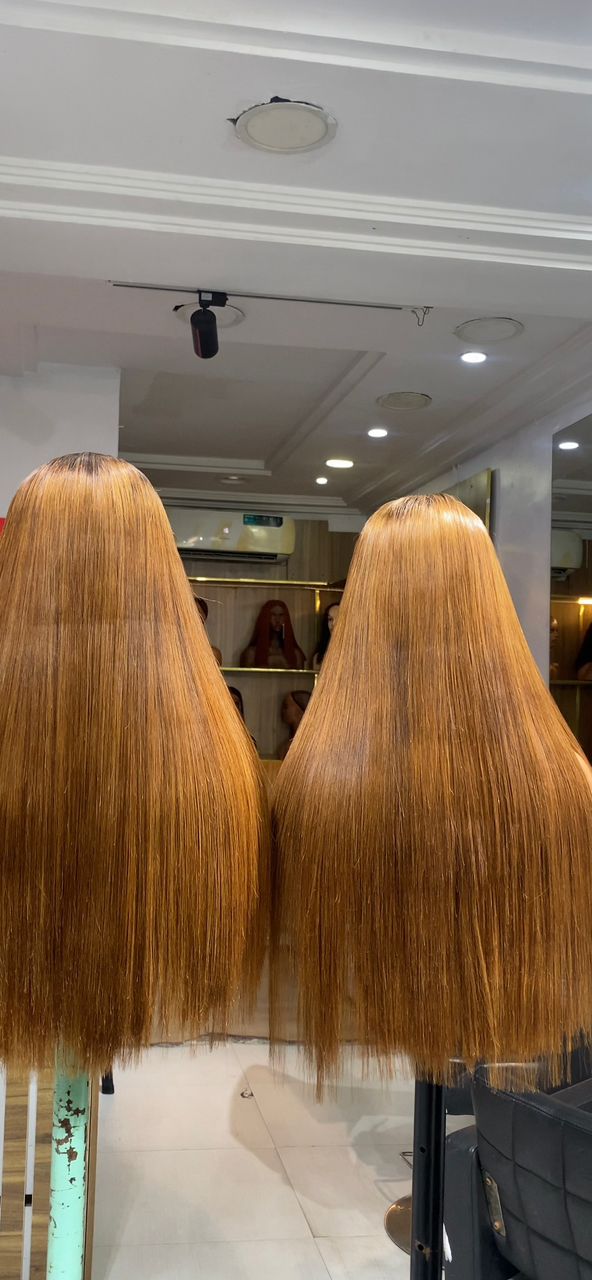 22 Inch Bone Straight Brown Wig